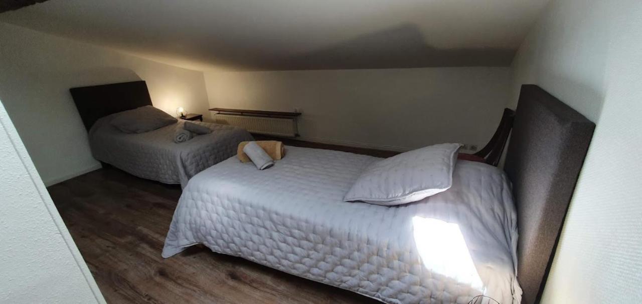Gite De 420 Metres Carres Dans Chateau L'Ange Au Violon Jusqu'A 13 Couchages Conques-sur-Orbiel Exterior photo