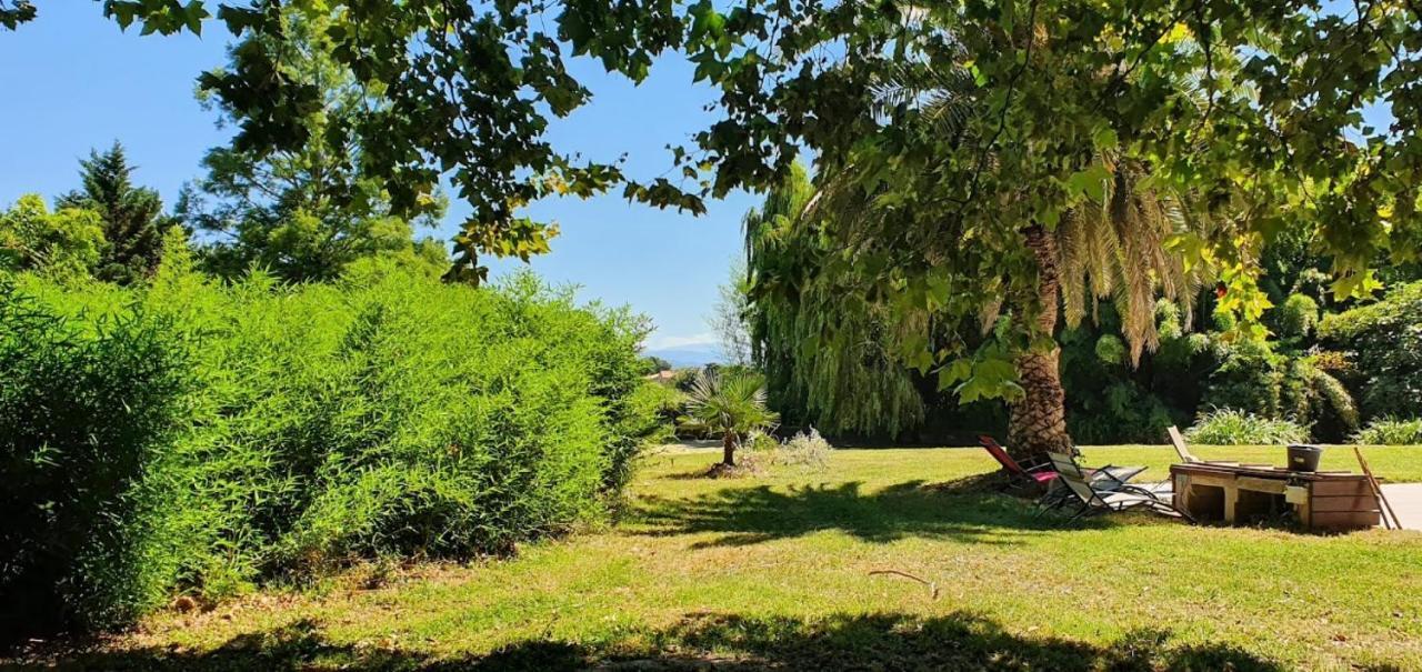 Gite De 420 Metres Carres Dans Chateau L'Ange Au Violon Jusqu'A 13 Couchages Conques-sur-Orbiel Exterior photo